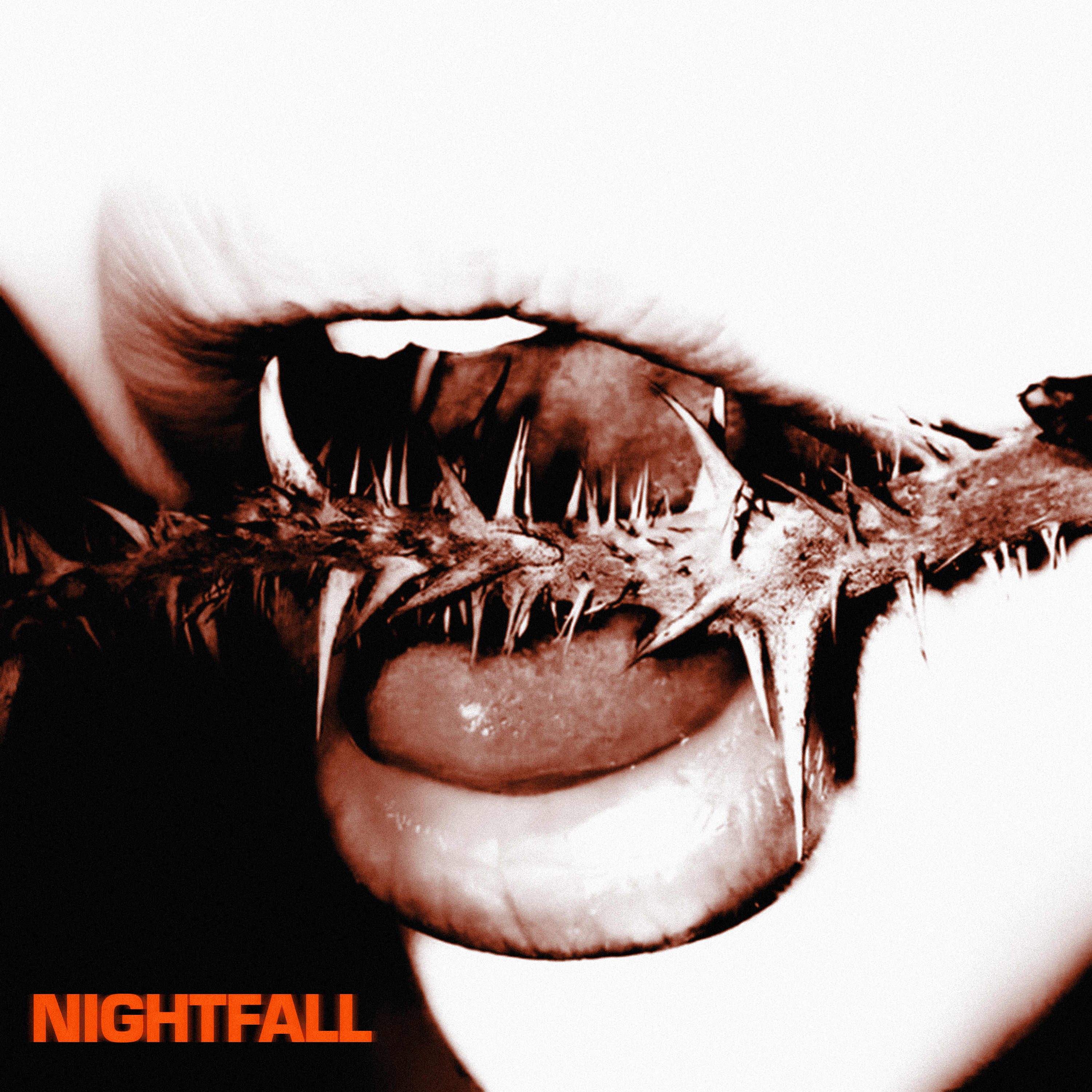 NIGHTFALL